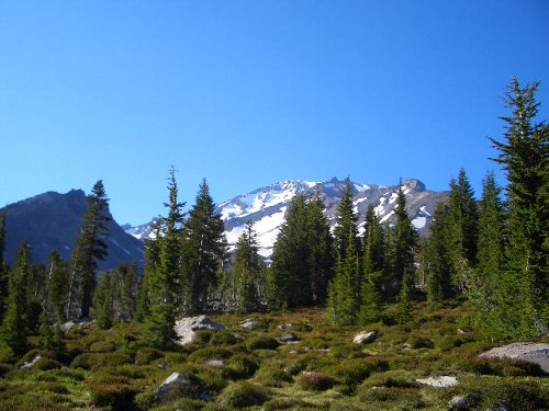 e0098066_7332574.jpg