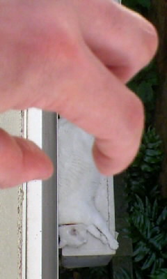 d0030168_10522551.jpg
