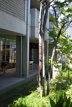 b0183669_22205519.jpg