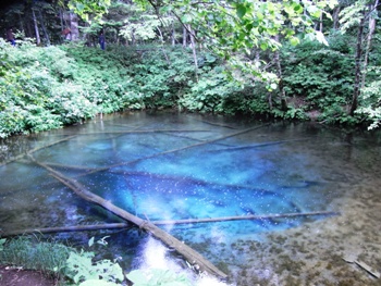 e0066369_2250777.jpg