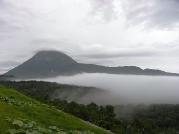 e0066369_2253155.jpg