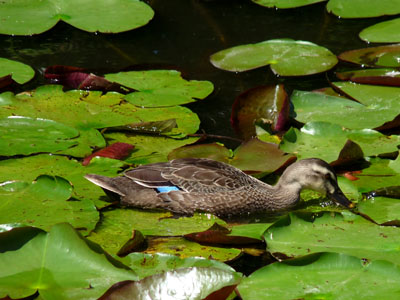 f0086169_1631637.jpg