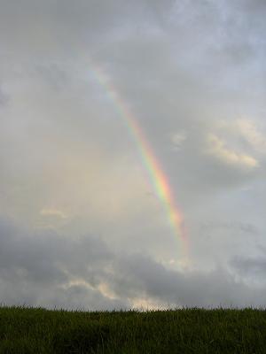 b0073970_22184035.jpg