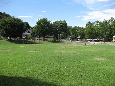 d0082970_11464033.jpg