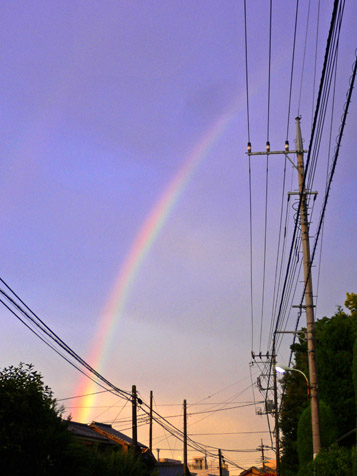 e0112077_4233836.jpg