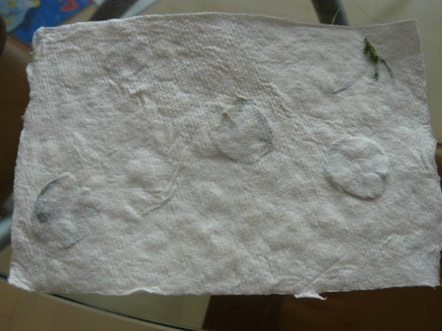 c0093179_121665.jpg