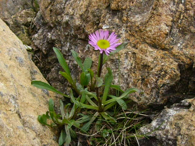e0145782_19282427.jpg