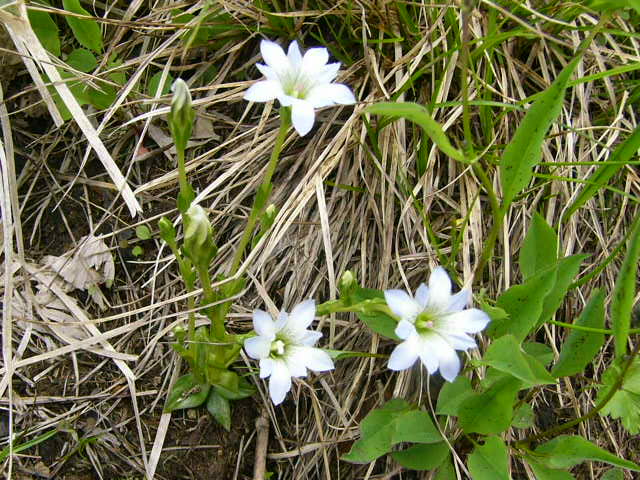 e0145782_19284436.jpg