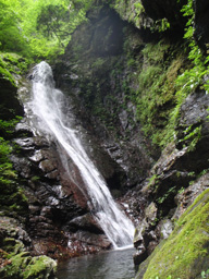 c0018489_10474871.jpg