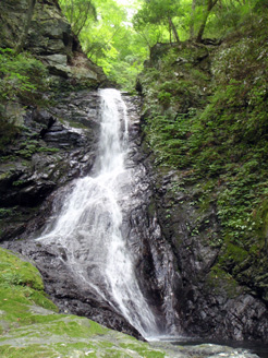 c0018489_10491865.jpg