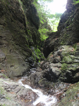 c0018489_10554670.jpg
