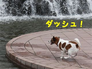 e0121589_18591570.jpg