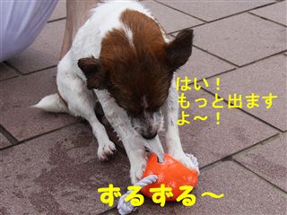 e0121589_19182686.jpg