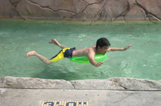 c0060693_8165541.jpg