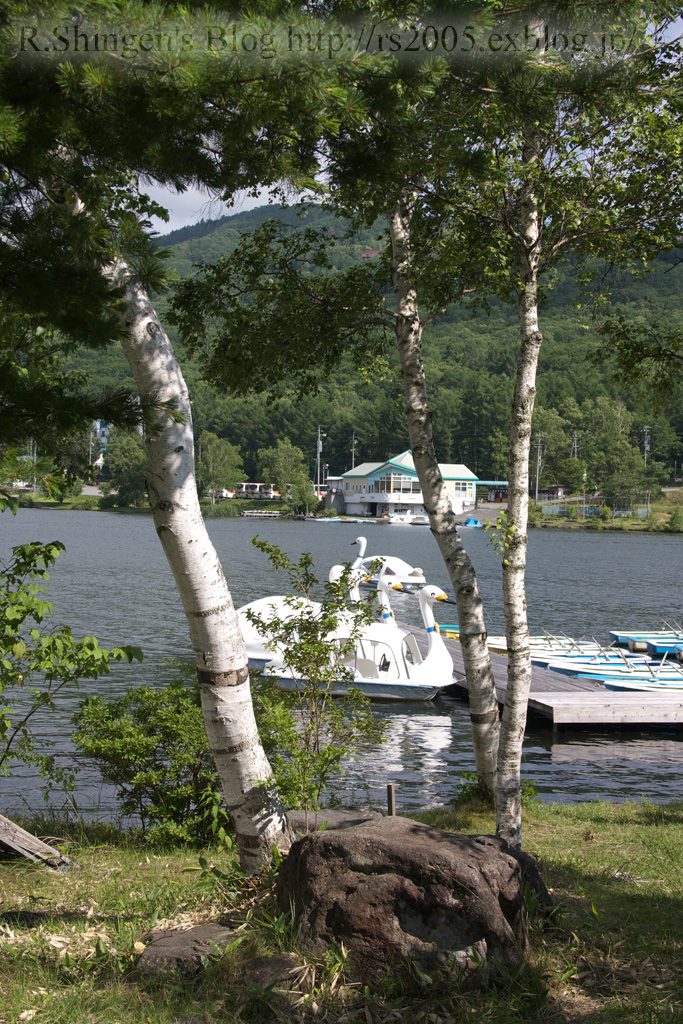 c0025498_191130.jpg