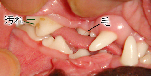 c0094999_19411087.jpg