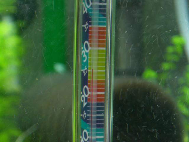 b0175402_23154254.jpg