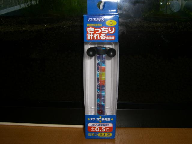 b0175402_2344057.jpg