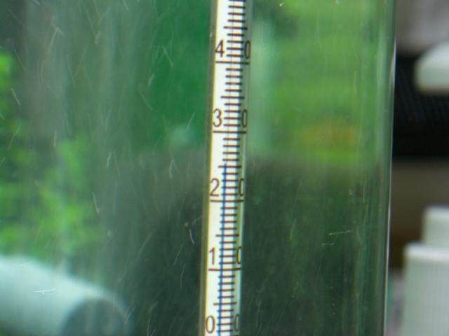 b0175402_2383857.jpg