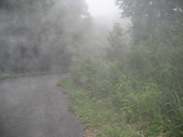 e0183804_2236111.jpg
