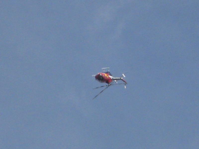 c0049105_1034170.jpg