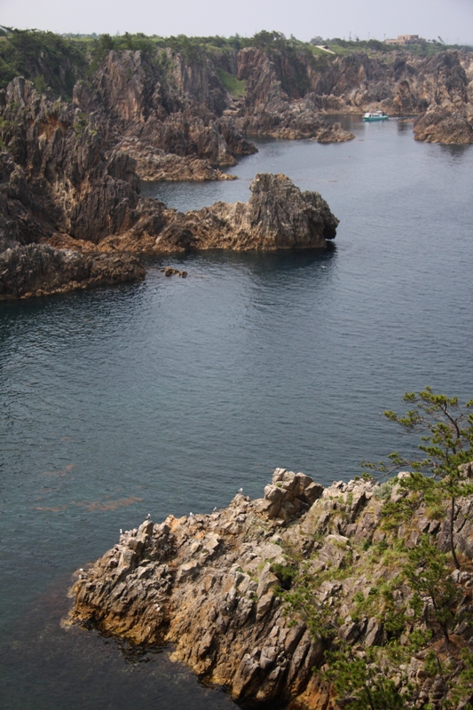 b0180907_7492654.jpg