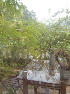a0051108_11514142.jpg