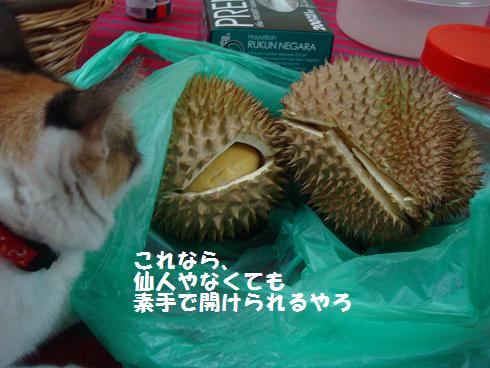c0145615_1821741.jpg