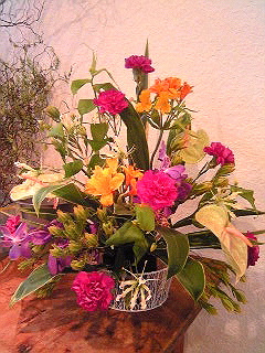a0052621_21203713.jpg