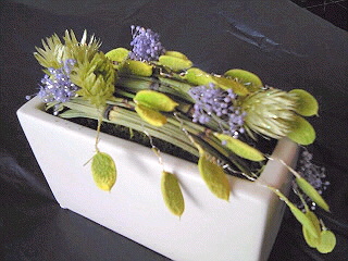 a0052621_21503336.jpg