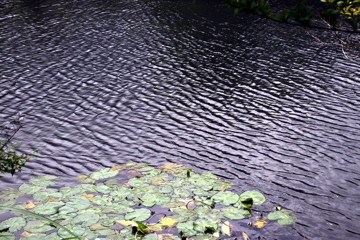 b0165522_1123194.jpg