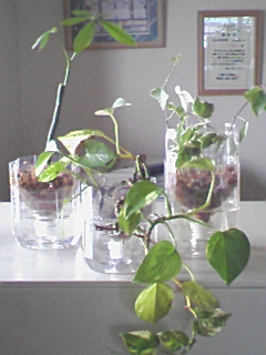 f0050523_192241100.jpg