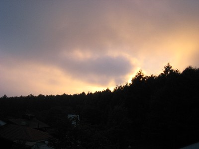 f0136828_16332238.jpg