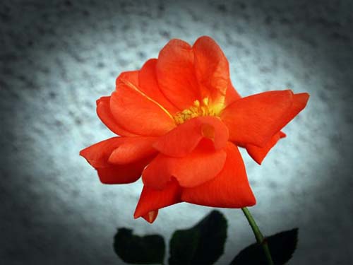 d0029829_234437.jpg