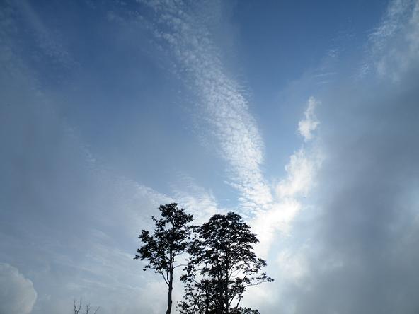 f0118332_11535660.jpg