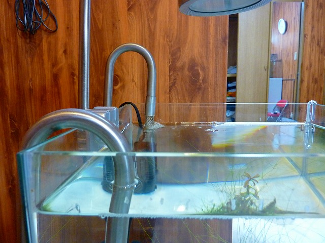a0121134_738054.jpg