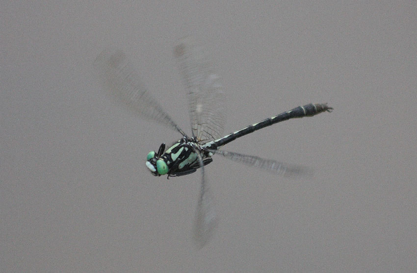 d0069235_221512.jpg