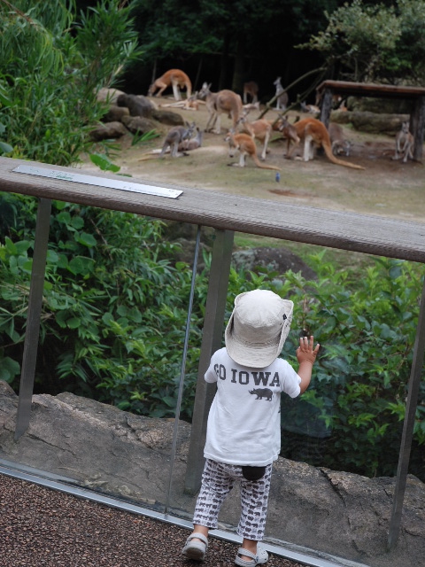 d0077035_20241866.jpg