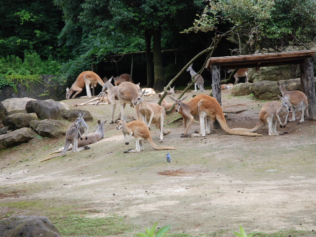 d0077035_20243478.jpg