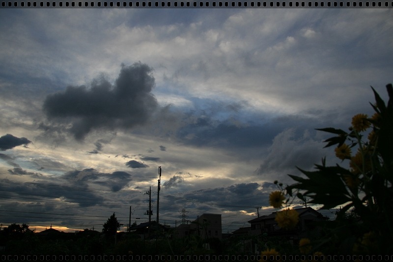 e0052135_2252445.jpg