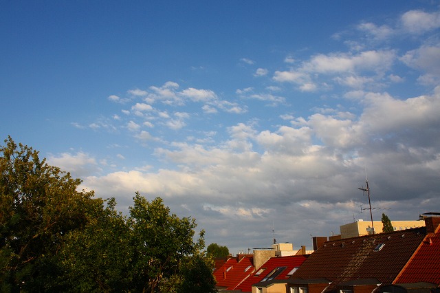 c0153740_3253787.jpg