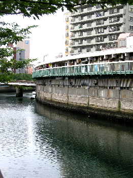 a0003150_21394147.jpg