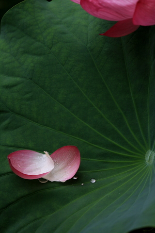a0024250_22465668.jpg