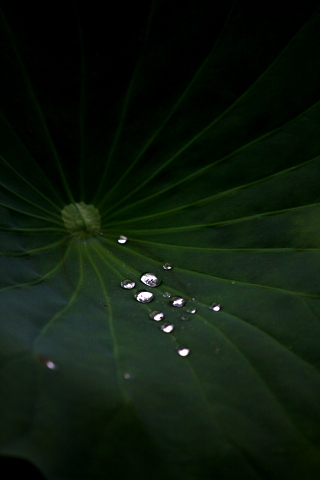 a0024250_22514133.jpg