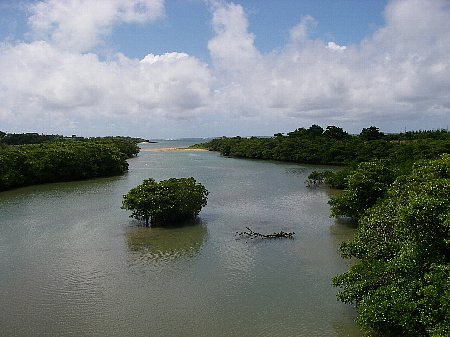 a0056654_19162472.jpg