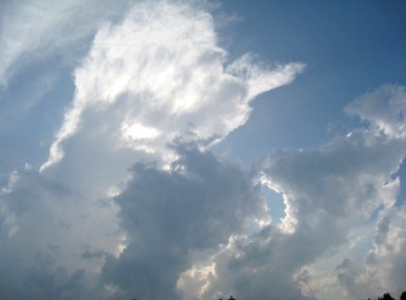 b0173754_1453490.jpg