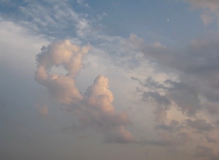 b0173754_14555453.jpg
