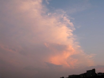 b0173754_14561270.jpg