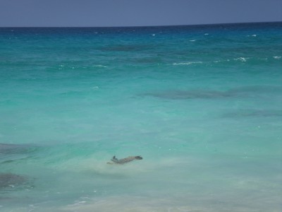 e0033156_1114326.jpg