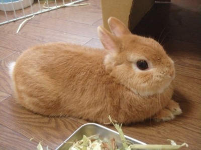 c0032257_1114899.jpg